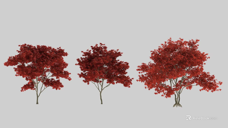 Red Leaf Arbor Trees With Vibrant Foliage And Diverse Growth Shapes 3d model