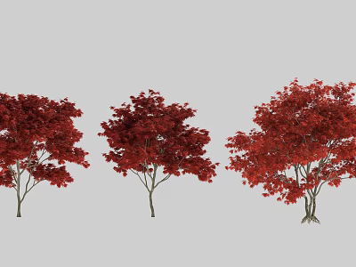 Red Leaf Arbor Trees With Vibrant Foliage And Diverse Growth Shapes 3d model