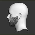 Modern Beard Model Beard 3d model