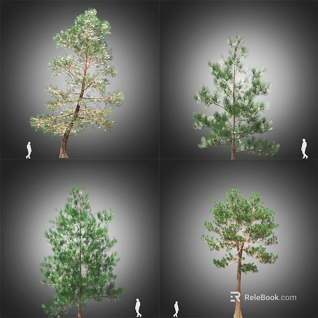 Various Arbor Specimens With Lush Green Foliage And Distinct Branch Structures 3d model 