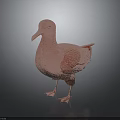 Copper Duck Sculpture Standing on Black Surface with Reflection and Dark Background