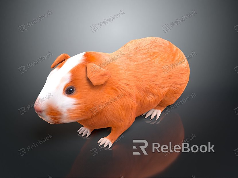 guinea pig mouse cartoon guinea pig cartoon mouse anime guinea pig anime mouse model