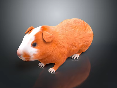 Orange White Guinea Pig Plush Pet Cushion Soft Bed For Home Use Decor 3d model