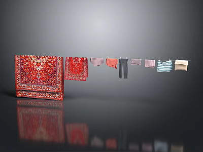 Household Items With Red Patterned Carpets And Hanging Different Style Clothes Pants Shirts 3d model