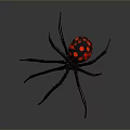 Detailed View Of Black Spider With Red Spots On Abdomen And Long Legs