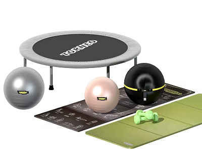 Essential Sports Equipment Collection With Trampoline Silver Pink Black Fitness Balls Yoga Mat And Green Dumbbells 3d model