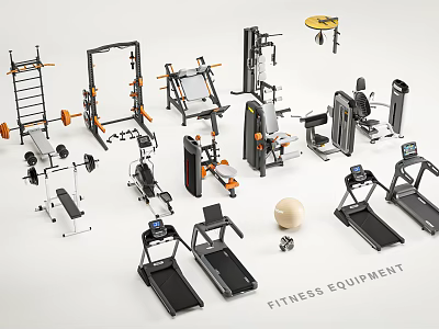 Fitness Equipment with Treadmills Dumbbells Weight Racks and Fitness Ball for Home Gym 3d model