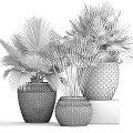 Bonsai Potted Plants in Wicker Baskets with Tropical Green Foliage and Stone Base