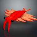 Vibrant Red Fantasy Shrimp with Black Eyes and Feathered Appendages 3D Render