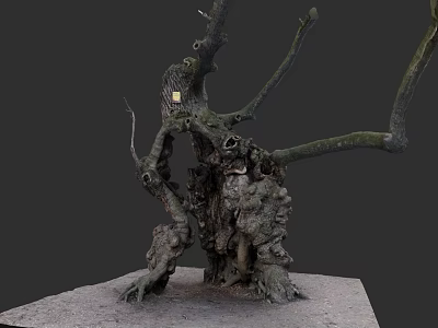 Ancient Tree With Thick Trunk Knotty Branches Holes Exposed Roots And Rough Texture 3d model