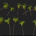 Multiple Green Palm Trees In Various Shapes And Forms On Black Background