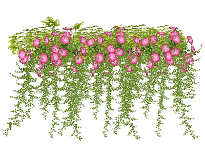 Lush Hanging Pink Flowers With Trailing Green Vines For Garden Decoration 3d model