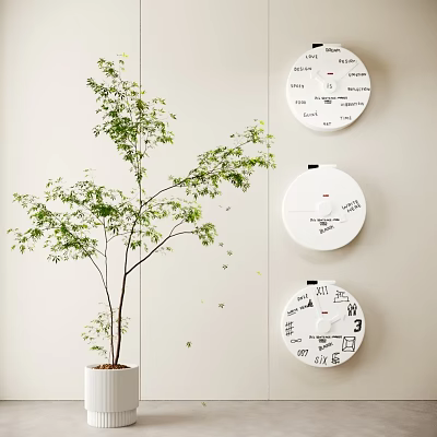 Three Unique Clocks As Wall Decor With Plant 3d model