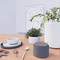 Modern Decorative Ornament Set with Green Plants White Pots and Tabletop Accessories