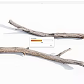 Natural Dry Wooden Branches With Rough Surface For Rustic Decor Projects 3d model