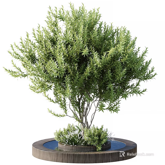 Healthy Evergreen Tree With Lush Green Foliage And Multiple Branches In Ceramic Pot 3d model 