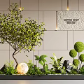 Indoor Landscape Design With Large Tree Rounded Topiaries Glowing Sphere And Coffee Shop Wall