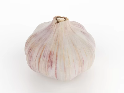 Fresh Organic Garlic Bulb with White and Purple Stripes on White Background Close Up View 3d model