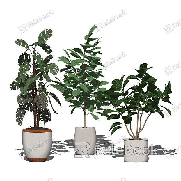 modern potted plant model