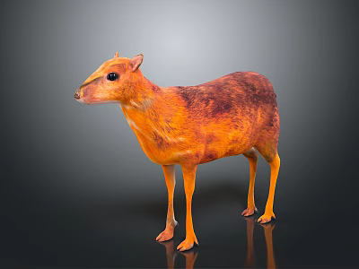 Small Orange And Brown Deer Like Animal With Shiny Fur Standing On Dark Background 3d model