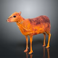 Small Orange And Brown Deer Like Animal With Shiny Fur Standing On Dark Background