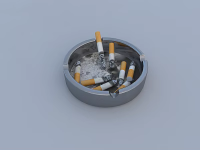 Silver Metal Ashtray Decorative Combination With Cigarette Butts And Ash 3d model