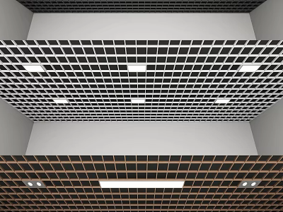 Modern Ceiling Design With Grid Square Tiles And Recessed Lighting Fixtures 3d model