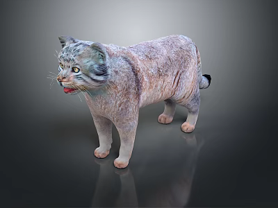 Detailed Fluffy Gray Cat Standing With Alert Expression In Realistic 3D Rendering 3d model