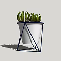Modern Potted Plant With Green Pointed Leaves In White Conical Pot And Blue Metal Frame
