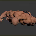 Muscular Man Posing to Flex Well Defined Strong Fit Body Muscles