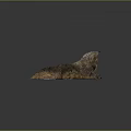 Wooden Stone Rock Formation With Natural Moss Covered Surface And Brown Green Color