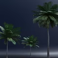 Three Tall Palm Trees Standing On Gray Ground Against Deep Blue Sky