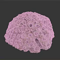Aquatic Coral Reef Structure Featuring Porous Surface And Marine Formation Details