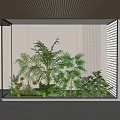 Indoor Bonsai Potted Plants Arrangement In Glass Enclosed Space With Wooden Ceiling And White Wall