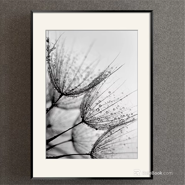 Framed Black And White Botanical Drawing With Dandelion Seeds And Water Drops 3d model 
