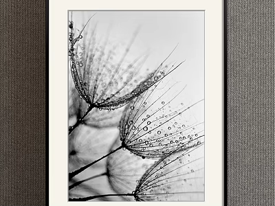 Framed Black And White Botanical Drawing With Dandelion Seeds And Water Drops 3d model