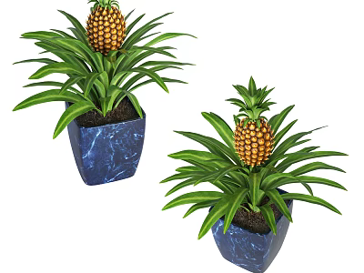 Decorative Pineapple Bonsai Plants in Blue Square Pots with Green Leaves 3d model