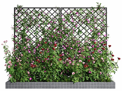 Rose Vine Plant Wall Morning glory Climbing Vine Pond 3d model