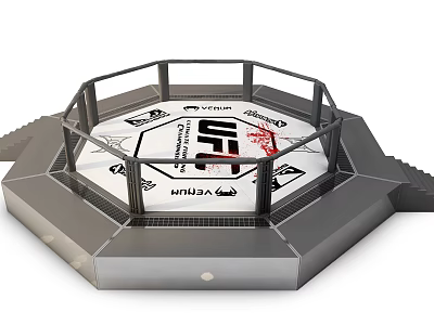 UFC Octagon MMA Training Ring For Sports Fitness And Fighting Competitions 3d model