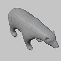 Realistic Polar Bear 3D Model With White Fur And Detailed Claws