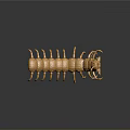 Golden Centipede Game and Movie Character with Detailed Armor and Sharp Legs