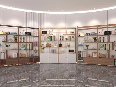 Modern Open Bookcases With Shelves Displaying Books Decorations Plants And Photo Frames 3d model