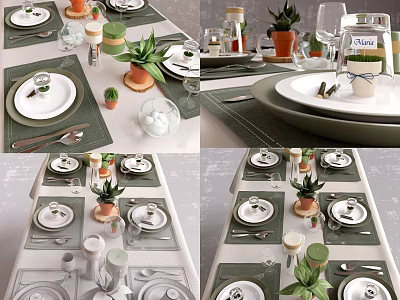 Modern Dinnerware Set With White Plates Green Placemats Succulents And Glassware 3d model