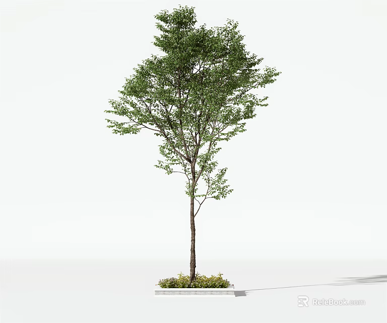 Lush Green Leafy Arbor With Sturdy Brown Trunk And Decorative Square Base 3d model 