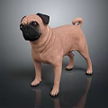 Realistic Light Brown Pug Dog Standing On Dark Smooth Surface Render
