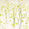 Cluster of Plants with Yellow Small Flowers Green Leaves and Slender Stems on Light Background