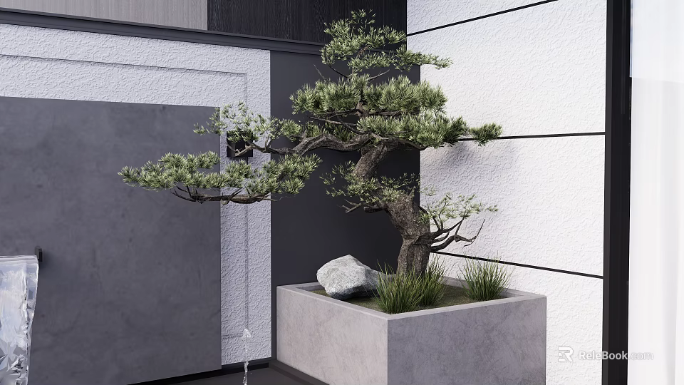 Lush Bonsai Pine Tree in Modern Stone Planter with Stone and Grass Against Gray Wall 3d model 