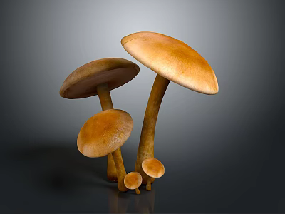 Natural Brown Mushrooms In Various Sizes With Round Caps And Long Stems 3d model