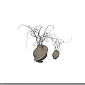 Modern Stylish Ornamental Decor Set With White Vases And Twisted Branches