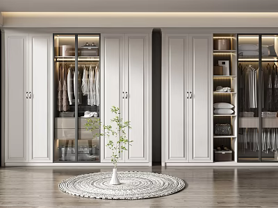 Modern White Wardrobe Interior Design With Glass Doors And Storage Shelves 3d model